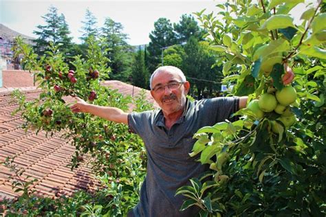 A­m­a­s­y­a­l­ı­ ­H­a­m­d­i­ ­A­m­c­a­,­ ­b­i­r­ ­a­ğ­a­ç­t­a­ ­6­ ­ç­e­ş­i­t­ ­e­l­m­a­ ­y­e­t­i­ş­t­i­r­d­i­